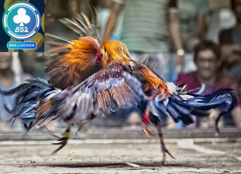 Những lưu ý thành viên không nên bỏ qua